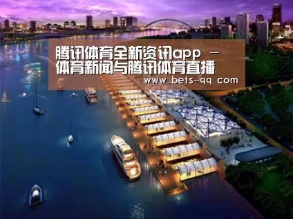 案例展示八