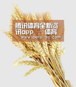 腾讯体育全新资讯app - 体育新闻与腾讯体育直播